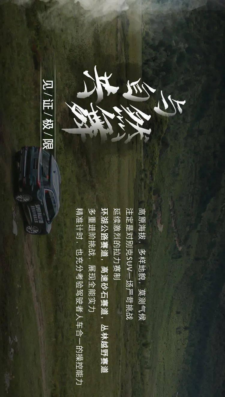 公共安全视频运维项目通过验收